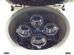 Centrifuga Ventilata AWEL C 48