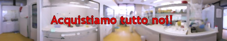 Acquistiamo tutto noi!